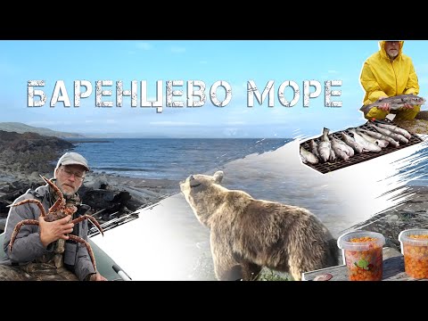 Видео: Баренцево море 2018 на лодке -  Териберка, пешком в бухту Опасова. Ловля трески, встреча с медведем.