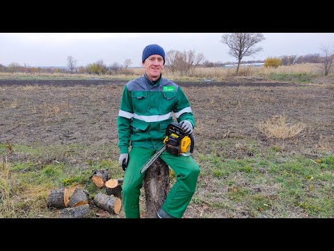 Видео: Купили дом в станице. Осенние посадки и пересадки.