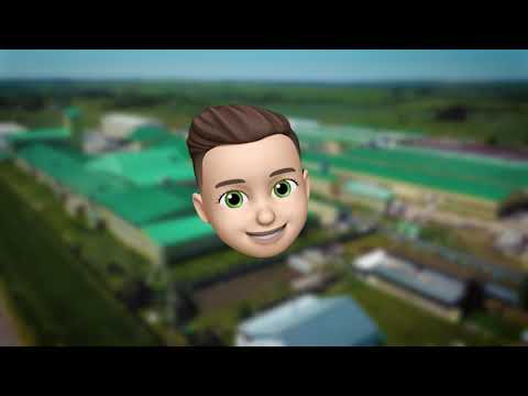 Видео: Производство дверей. 14 лет группе компаний ESTET.