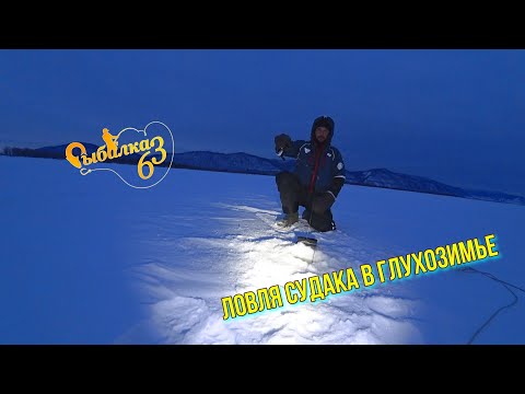 Видео: ЛОВЛЯ СУДАКА В ГЛУХОЗИМЬЕ. ВЫШЛИ ЗА СУДАКОМ НА ВОЛГУ ЗАТЕМНО