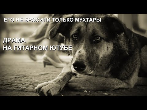 Видео: САМОЕ ГРУСТНОЕ ВИДЕО О ПРЕДАТЕЛЬСТВЕ - FREDGUITARIST И АЛЕКСАНДР БЛИНОВ