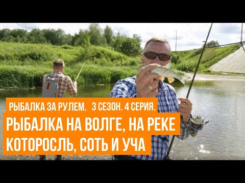 Видео: Рыбалка на Волге, на реке Которосль, Соть и Уча \ Рыбалка за рулем \ 3 сезон