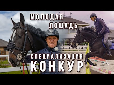 Видео: Молодая лошадь. Специализация конкур. Конкурная тренировка с Василием Ивановичем Лопатиным.