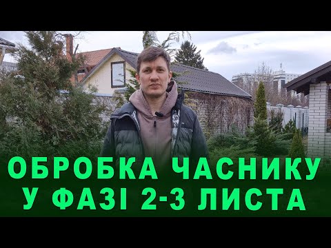 Видео: Підвищуємо стресостійкість ЧАСНИКУ. Профілактика хвороб. Обробка БІОПРЕПАРАТАМИ у фазі 2-3 листа