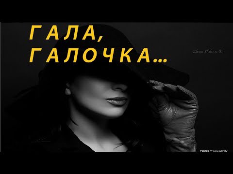 Видео: ГАЛОЧКА
