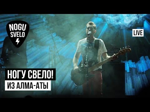 Видео: Ногу Свело! - Из Алма-Аты (Live)