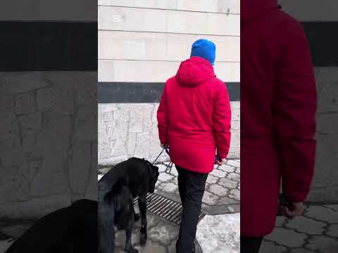 Видео: В Бишкеке.