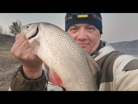 Видео: ЯЗИ СУДАКИ ЛЕЩ и ЁРШ !! на РЕЗИНКУ МАЙ 2022г р.ТОМЬ