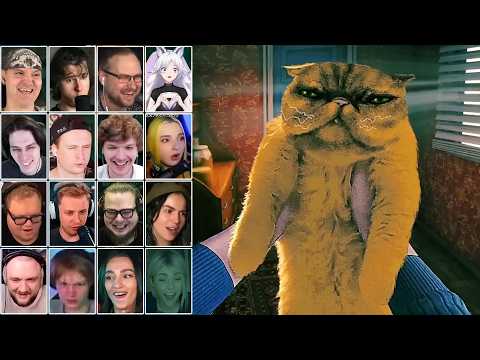 Видео: Реакция Летсплейщиков на Милого Котика | No, I'm not a Human