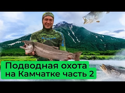 Видео: Приключения Salvimar на Камчатке  — Часть 2. Подводная охота на Камчатке!