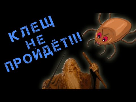 Видео: Куриный клещ. Наша история борьбы.