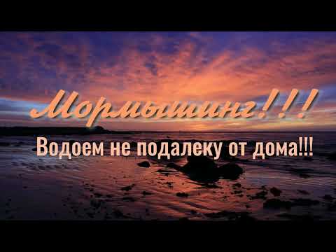 Видео: Мормышинг!!!Водоём не подалёку от дома!!!