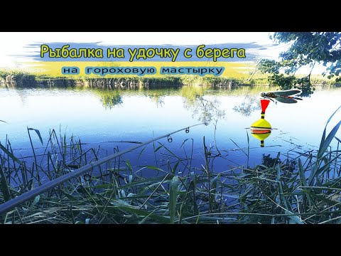 Видео: Рыбалка на удочку с берега на гороховую мастырку на карася плотву