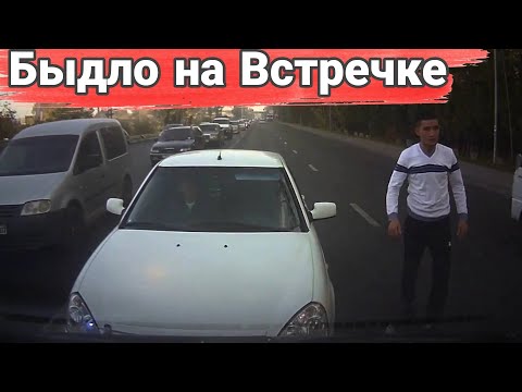Видео: Наказание автохамов на встречке. №5