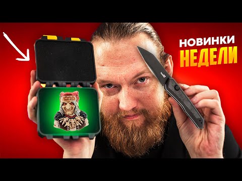 Видео: Новинки ножей 2025 — аксессуар, которого никто не ожидал! Октябрь