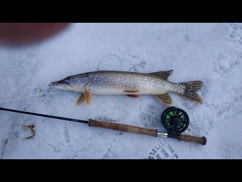 Видео: Ловля щуки нахлыстом . Уловистые стримеры . Зима