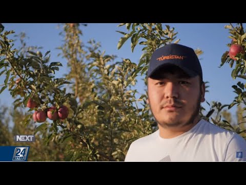 Видео: Агроном Серік Төлешов  | NEXT