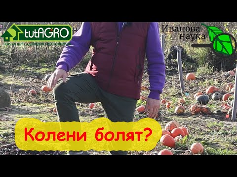Видео: БОЛЯТ КОЛЕНИ? Вот что надо сделать в первую очередь.