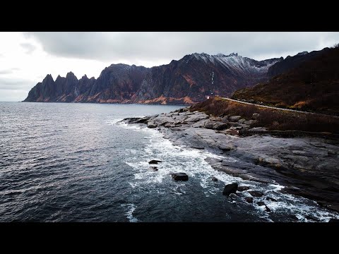 Видео: Перевозка свежего лосося  с северных фьордов GIRTEKA