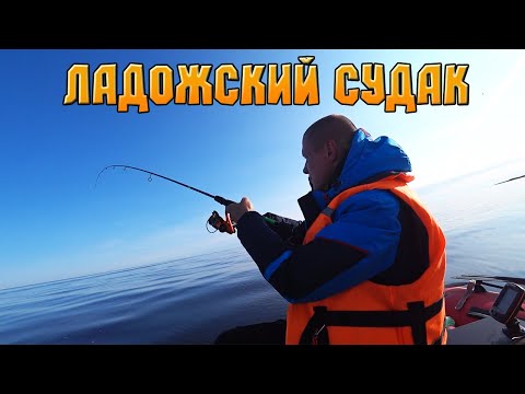 Видео: РЫБАЛКА НА ОТВОДНОЙ ПОВОДОК НА ЛАДОЖСКОМ ОЗЕРЕ НА СУДАКА 2023 В УСТЬЕ ВОЛХОВА. УЧИМСЯ ЛОВИТЬ СУДАКА!