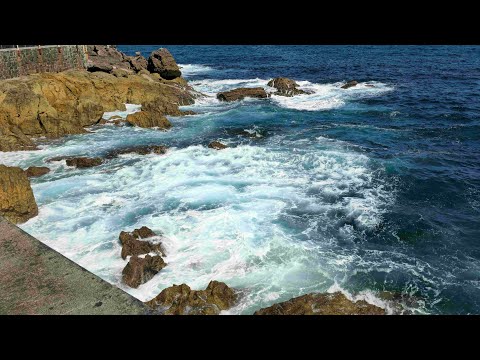 Видео: 🔋Активация кишечника,мозга,моторики, координации,внимания,реакции, ловкости,периферического зрения.