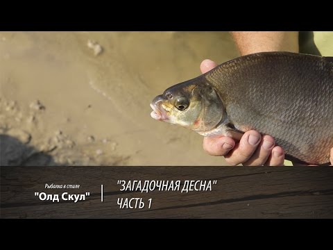 Видео: Загадочная Десна - часть 1. Рыбалка в стиле "Олд Скул". 22 серия