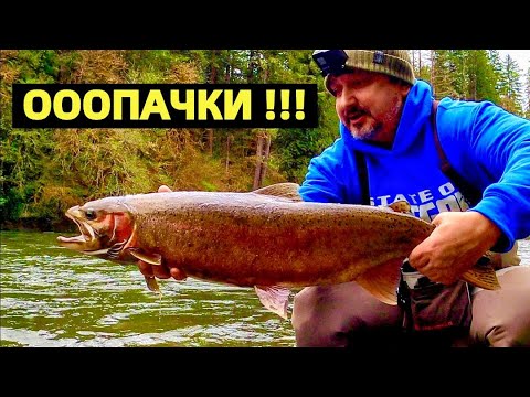 Видео: США. ЛОСОСЕВАЯ РЫБАЛКА И РЕЦЕПТ ПРИГОТОВЛЕНИЯ "ПОКЕ" ИЗ ЛОСОСЯ. STEELHEAD FISHING. DOWNSTREAMER.