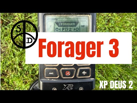 Видео: Полевые испытания Forager Update версии 3 | XP Deus 2 Metal Detection