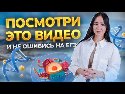 Видео: ТОП ошибок выпусников на биологии ЕГЭ. Как не допустить их на ЕГЭ 2024? | Умскул