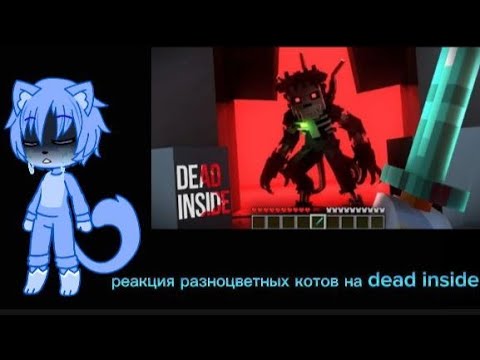 Видео: реакция разноцветных котов на Dead inside