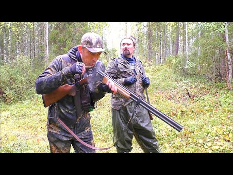 Видео: ОХОТА С ТОВАРИЩЕМ МЕДВЕЖАТНИКОМ / ОХОТИМСЯ НА РЯБЧИКА С МАНКАМИ / ОТКРЫВАЕМ СЕЗОН ПО БОРОВОЙ ПТИЦЕ.