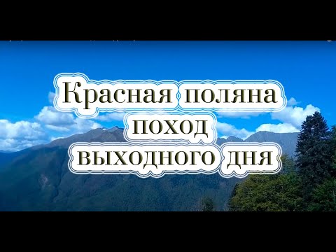 Видео: Исследуем Красную Поляну: Увлекательный поход на гору Табунная Южная!