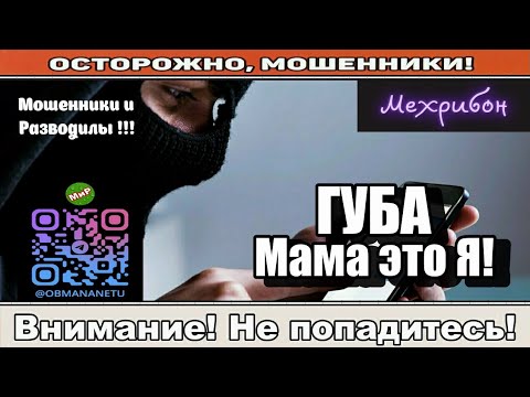 Видео: Мошенники звонят по телефону / За двумя зайцами ( сборник ).