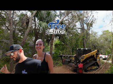 Видео: Мульчирование в лесу с помощью CAT 265! Скоро грядут изменения | TreeShop.app