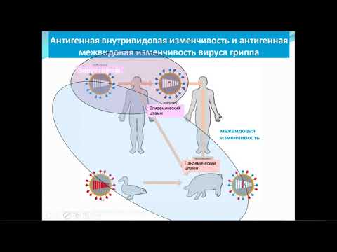 Видео: Вебинар. Н.Ю. Пшеничная