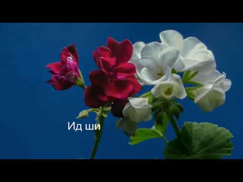 Видео: Амжилтын тарни. Мөрөөдөл биелдэг юм. Амжилтанд хүрэх арга. Далд ухамсар бүхнийг чадна.