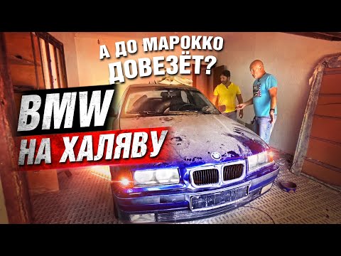 Видео: ОБЗОР НАХОДКИ: BMW 316i. Пробиваем VIN на комплектацию!