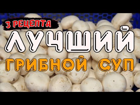 Видео: ОТКРЫЛ СЕКРЕТЫ 😮!!!!  3 РЕЦЕПТА Грибного супа из шампиньонов !!!