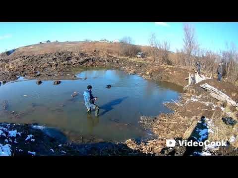 Видео: Очистка водоёма от старых сухих зарослей! 