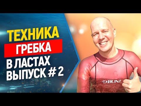 Видео: 🏊Техника гребка в ластах. Основные ошибки. Выпуск #2 Фридайвинг и подводная охота.