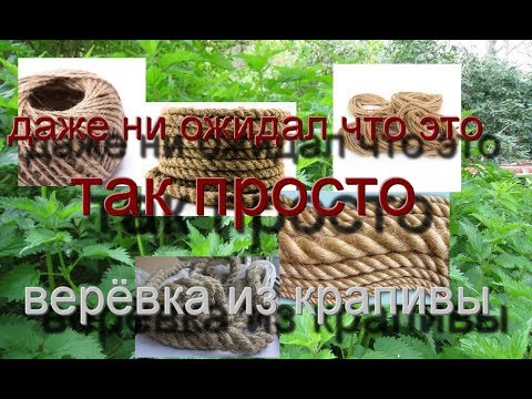 Видео: верёвка из крапивы,это просто