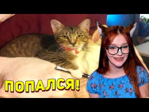Видео: ЗАСМЕЯЛСЯ - ПОДПИСАЛСЯ! ЛУЧШИЕ ПРИКОЛЫ 2021 ТЕСТ НА ПСИХИКУ УГАР! #392 РЕАКЦИЯ НА СОЮЗ СМЕХА