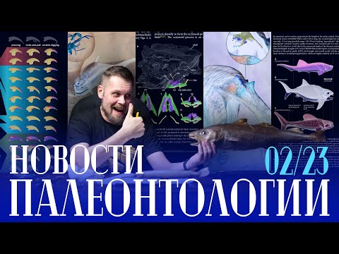 Видео: Поющие анкилозавры? | Мозги спинозавров | Детский сад этозавров | Климат мелового периода
