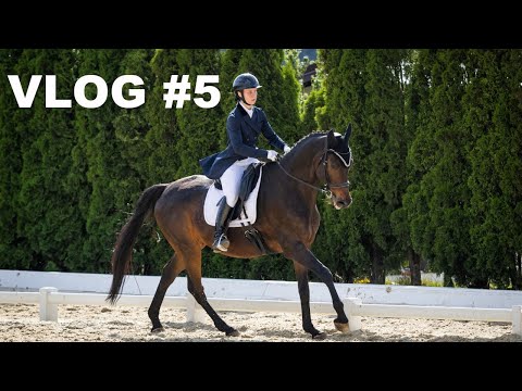 Видео: VLOG #5. КУБОК ВИЦЕ-ПРЕЗИДЕНТА ФКСР
