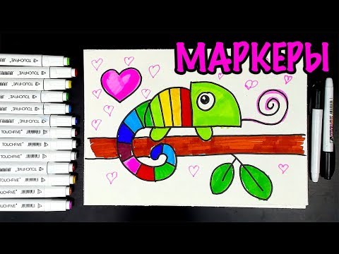 Видео: Как нарисовать ХАМЕЛЕОНА маркерами TouchFive
