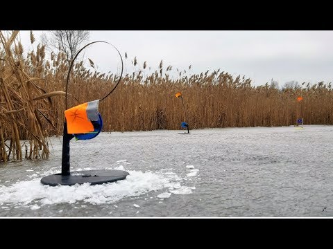 Видео: ЛОВЛЯ ЩУКИ на ЖЕРЛИЦЫ !!! БАТЛ ЖИВЦОВ КАРАСЬ против ПЛОТВЫ