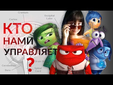 Видео: Полина Кривых: научный взгляд на "Головоломку"