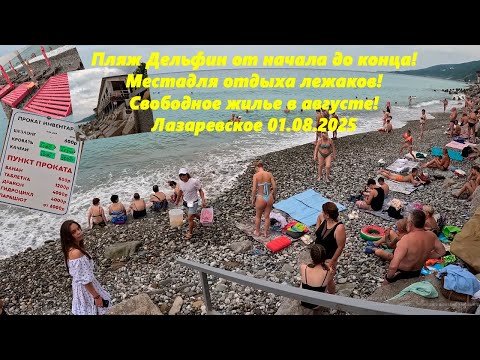 Видео: Дельфин от начала до конца!  Где отдыхают лежаки? Цены на жилье и в Восточном. Лазаревское 01.08.25