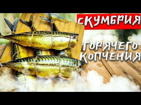 Видео: ОБЗОР  коптильни - пошаговый рецепт СКУМБРИЯ горячего копчения