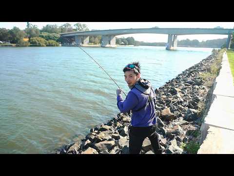 Видео: Вот почему я ловлю рыбу на мостах! (МОНСТР!)